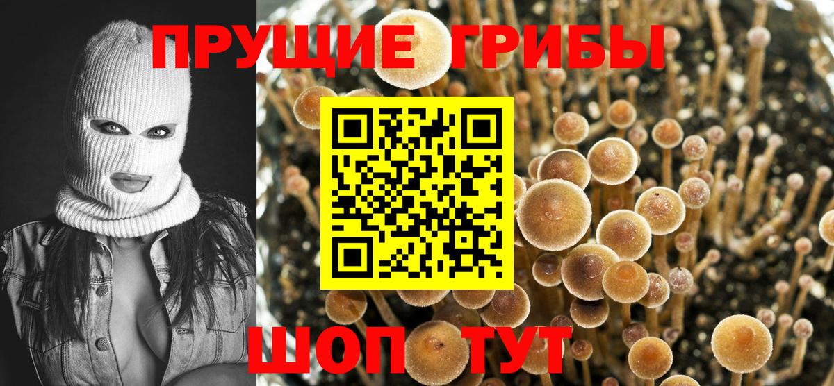 Галлюциногенные грибы GOLDEN TEACHER  Вход с VPN  Минусинск 